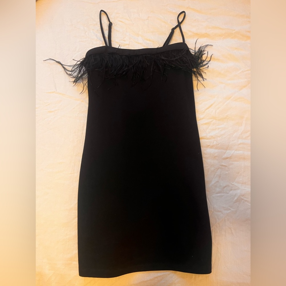 cute body on dress with feather detailing 🪶
